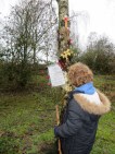 140105 Alderstead Heath Rememberance Tree 1