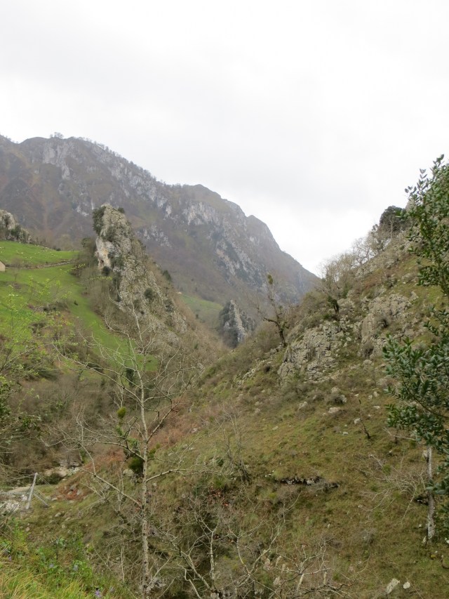 stunning picos de europa