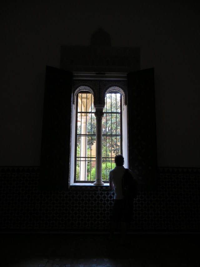 today i'm looking through the alcazar window