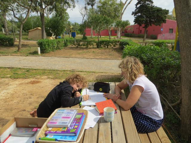 scholar on the road - luz