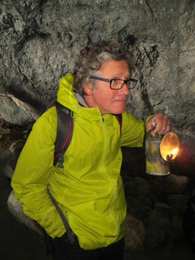 who's got my budgie?