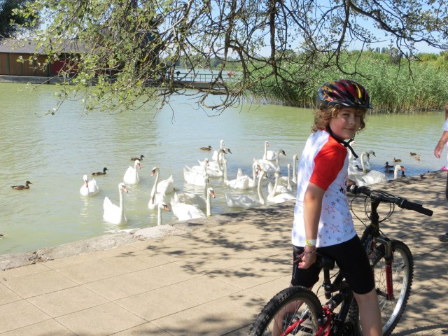 just swanning around