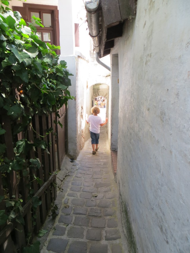 langos alley - szentendre