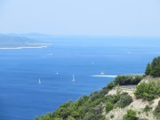 there's a rat in brač...